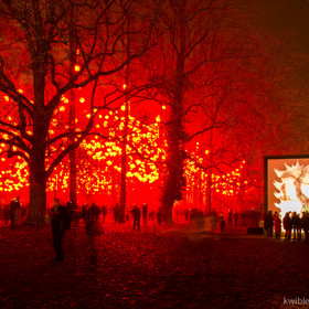 lyonlumieres2013_17.jpg